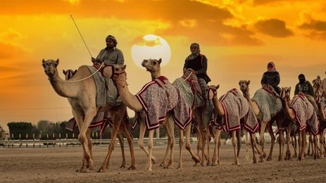Camel Ride
