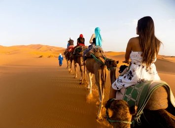 Camel Ride