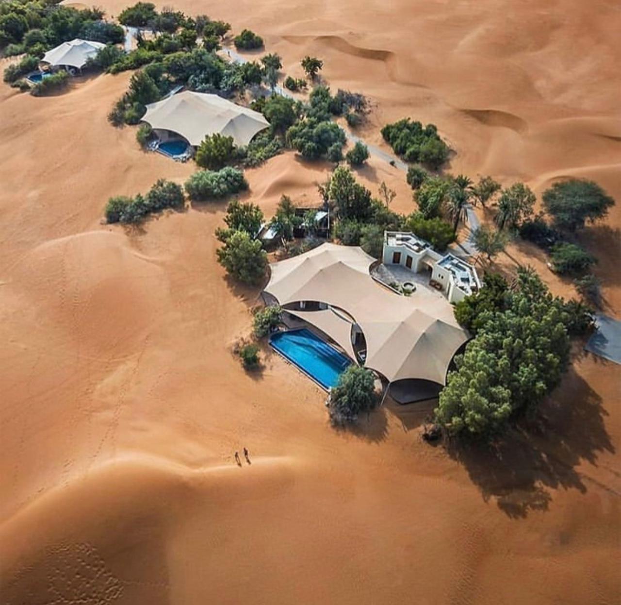 Desert Safari with Dune Bashing 